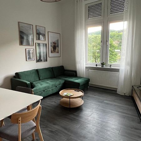 Ferienwohnung Direkter Moselblick I Altbau I 4 Personen I Terrasse Sankt Aldegund Exterior foto