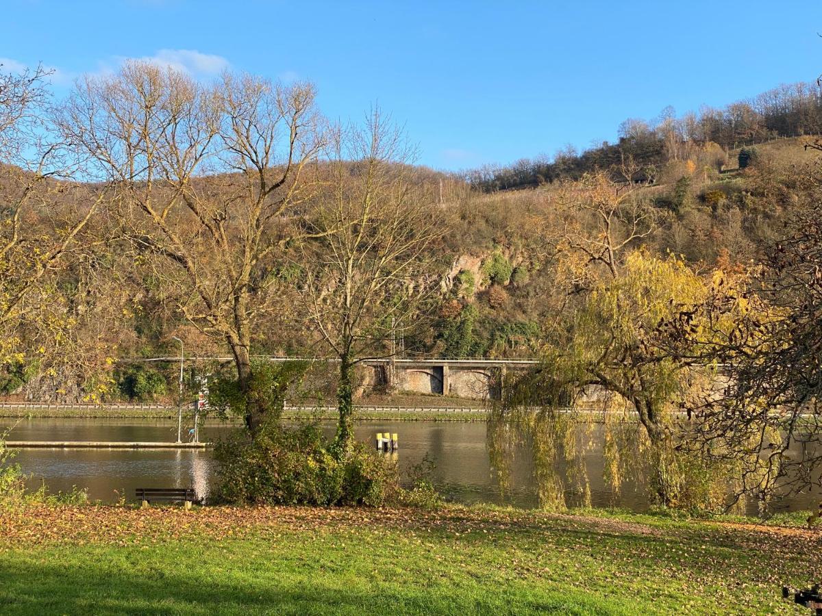 Ferienwohnung Direkter Moselblick I Altbau I 4 Personen I Terrasse Sankt Aldegund Exterior foto